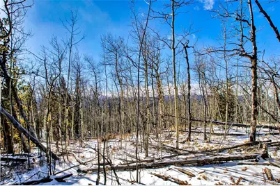 96 Dead Toad Road, Alma, CO 80420 - Photo 27
