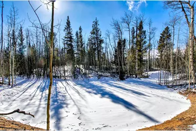 96 Dead Toad Road, Alma, CO 80420 - Photo 17