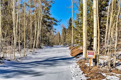 96 Dead Toad Road, Alma, CO 80420 - Photo 5