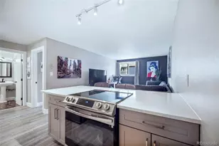 851 W Beaver Creek Blvd, Avon, CO 81620 - Photo 9