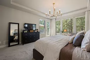 5009 Vermillion Ct, Castle Rock, CO 80108 - Photo 19