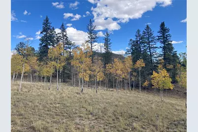 1140 Ute Trail, Jefferson, CO 80456 - Photo 33