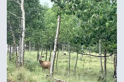 1140 Ute Trail, Jefferson, CO 80456 - Photo 7