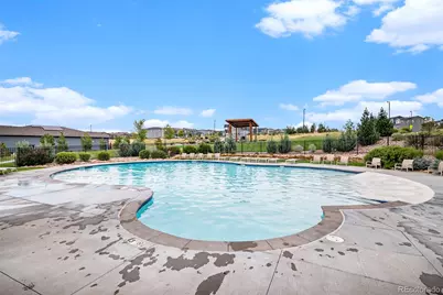 1172 Basalt Ridge Loop, Castle Rock, CO 80108 - Photo 43
