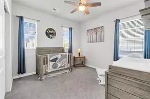 1172 Basalt Ridge Loop, Castle Rock, CO 80108 - Photo 27