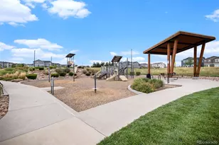1172 Basalt Ridge Loop, Castle Rock, CO 80108 - Photo 45