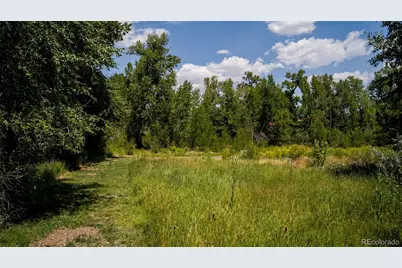 8116 Fawn Run, Salida, CO 81201 - Photo 21