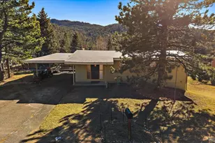 27906 Lupine Dr, Evergreen, CO 80439 - Photo 5