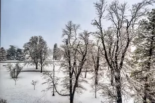 1265 Race St, Denver, CO 80206 - Photo 23