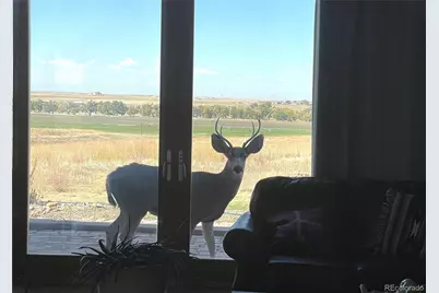 5549 Yulle Road, Bennett, CO 80102 - Photo 5