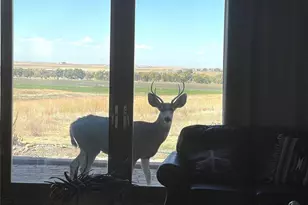 5549 Yulle Rd, Bennett, CO 80102 - Photo 5