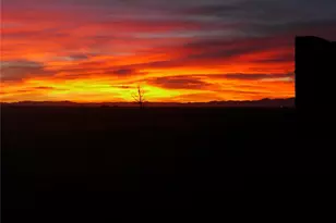 5549 Yulle Rd, Bennett, CO 80102 - Photo 13