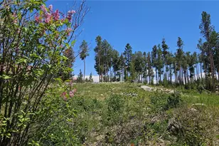 118 Gcr 4947, Grand Lake, CO 80447 - Photo 7