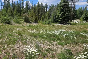 118 Gcr 4947, Grand Lake, CO 80447 - Photo 3