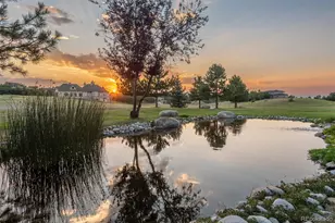 2079 Dragoon Ct, Castle Rock, CO 80109 - Photo 39