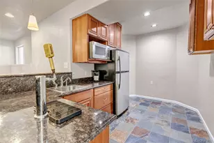 1645 Birchleaf Ct, Castle Rock, CO 80104 - Photo 33