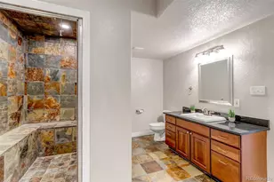 1645 Birchleaf Ct, Castle Rock, CO 80104 - Photo 35