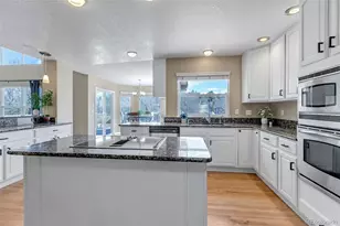 1645 Birchleaf Ct, Castle Rock, CO 80104 - Photo 11