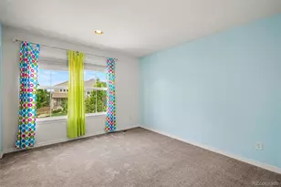 878 Graland Ln, Highlands Ranch, CO 80126 - Photo 31