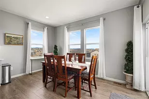 5028 Basalt Ridge Cir, Castle Rock, CO 80108 - Photo 11