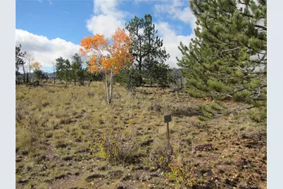 206 Bandolier Court, Hartsel, CO 80449 - Photo 5