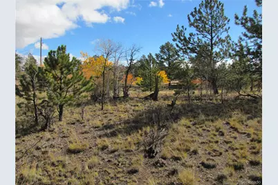206 Bandolier Court, Hartsel, CO 80449 - Photo 19