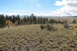 206 Bandolier Ct, Hartsel, CO 80449 - Photo 1