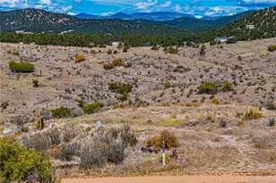 701 Shannon Trail, Cotopaxi, CO 81223 - Photo 1