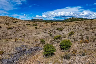 701 Shannon Trail, Cotopaxi, CO 81223 - Photo 7