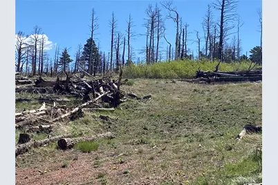 2142 Riccardo Lane, Fort Garland, CO 81133 - Photo 1