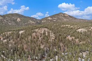 15322 S Elk Creek Rd, Pine, CO 80470 - Photo 7