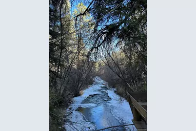 15322 S Elk Creek Road, Pine, CO 80470 - Photo 5