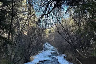 15322 S Elk Creek Rd, Pine, CO 80470 - Photo 5