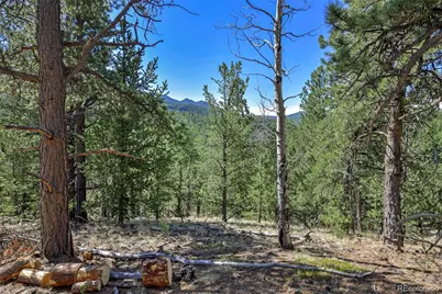 20083 S State Highway 67, Divide, CO 80814 - Photo 7