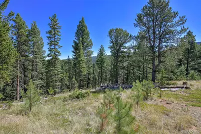 20083 S State Highway 67, Divide, CO 80814 - Photo 3
