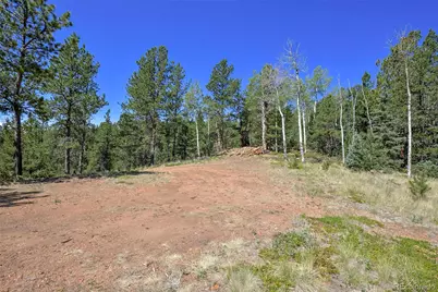 20083 S State Highway 67, Divide, CO 80814 - Photo 5
