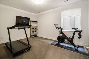 8233 Beekman Pl, Denver, CO 80238 - Photo 39