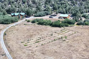 18842 Kimball Creek Rd, Collbran, CO 81624 - Photo 5