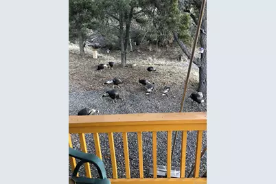 18842 Kimball Creek Road, Collbran, CO 81624 - Photo 49