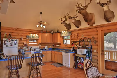 18842 Kimball Creek Road, Collbran, CO 81624 - Photo 11