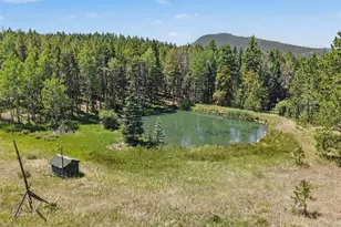 23300 Pleasant Park Rd, Conifer, CO 80433 - Photo 31