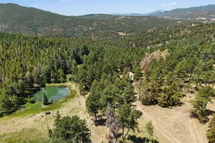 23300 Pleasant Park Rd, Conifer, CO 80433 - Photo 29