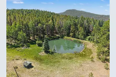 23300 Pleasant Park Road, Conifer, CO 80433 - Photo 3