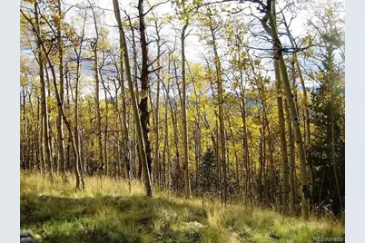 99 Dead Toad Road, Alma, CO 80440 - Photo 7