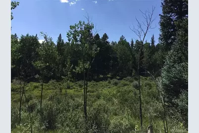 99 Dead Toad Road, Alma, CO 80440 - Photo 1