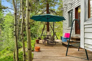1493 Silver Valley Rd, Silver Plume, CO 80476 - Photo 49