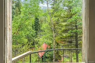 1493 Silver Valley Rd, Silver Plume, CO 80476 - Photo 33