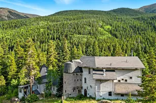 1493 Silver Valley Rd, Silver Plume, CO 80476 - Photo 3