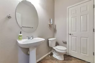 5639 Jaguar Way, Lone Tree, CO 80124 - Photo 11