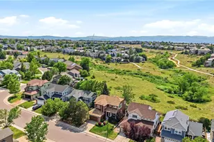 10089 Astorbrook Ln, Highlands Ranch, CO 80126 - Photo 41